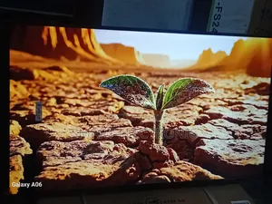 Samsung 43” Led Smart Television – Perfect for Living Rooms
