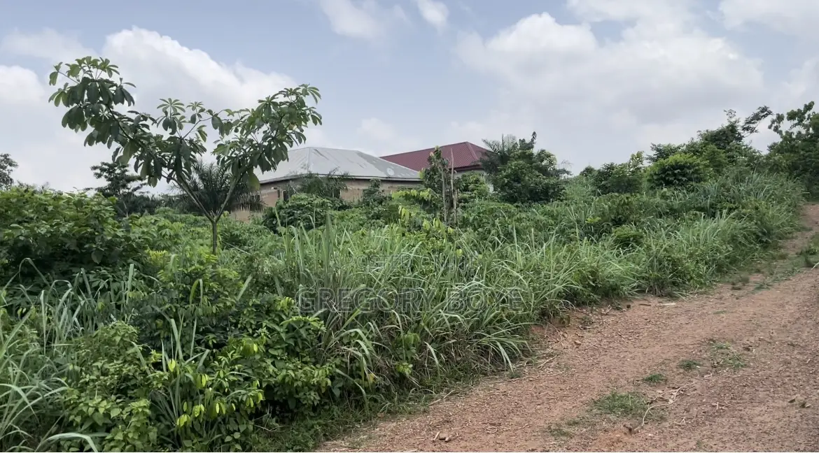 Land for Sale – Genuine Documents Available