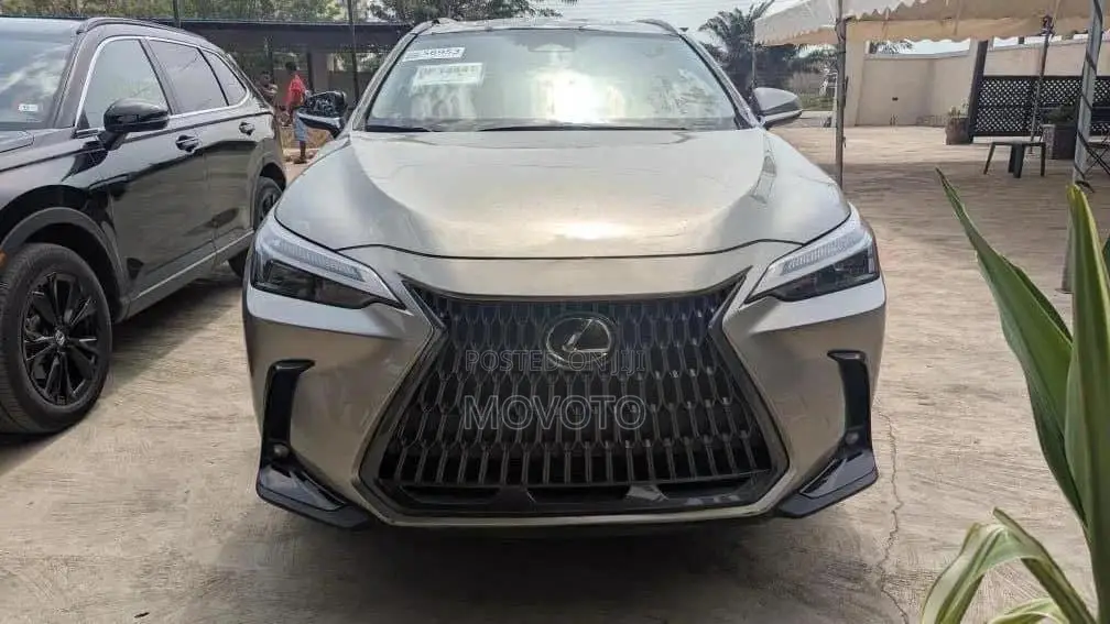 Lexus NX 350 AWD 2024 Gray