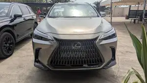 Lexus NX 350 AWD 2024 Gray