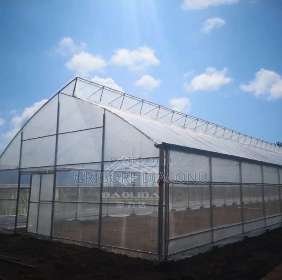 Greenhouse 10mx50m