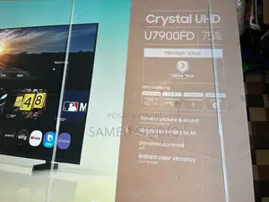 Television