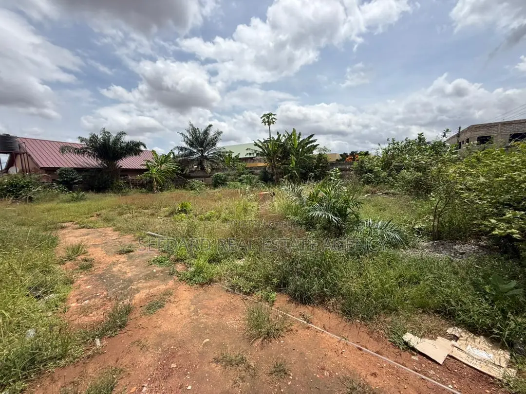Land for Sale With Old House on It