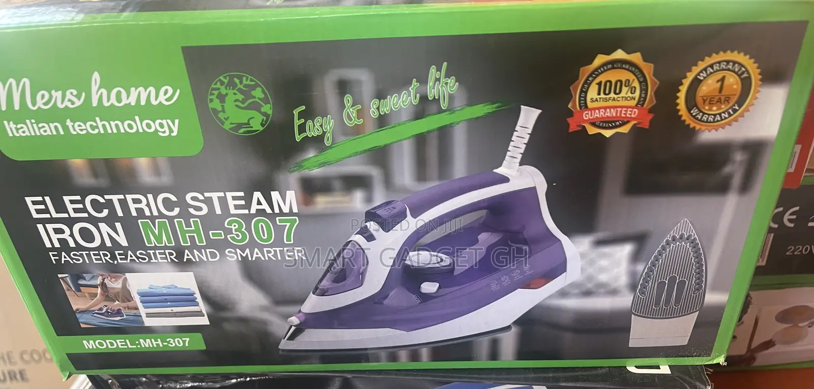 Electric Steam Iron