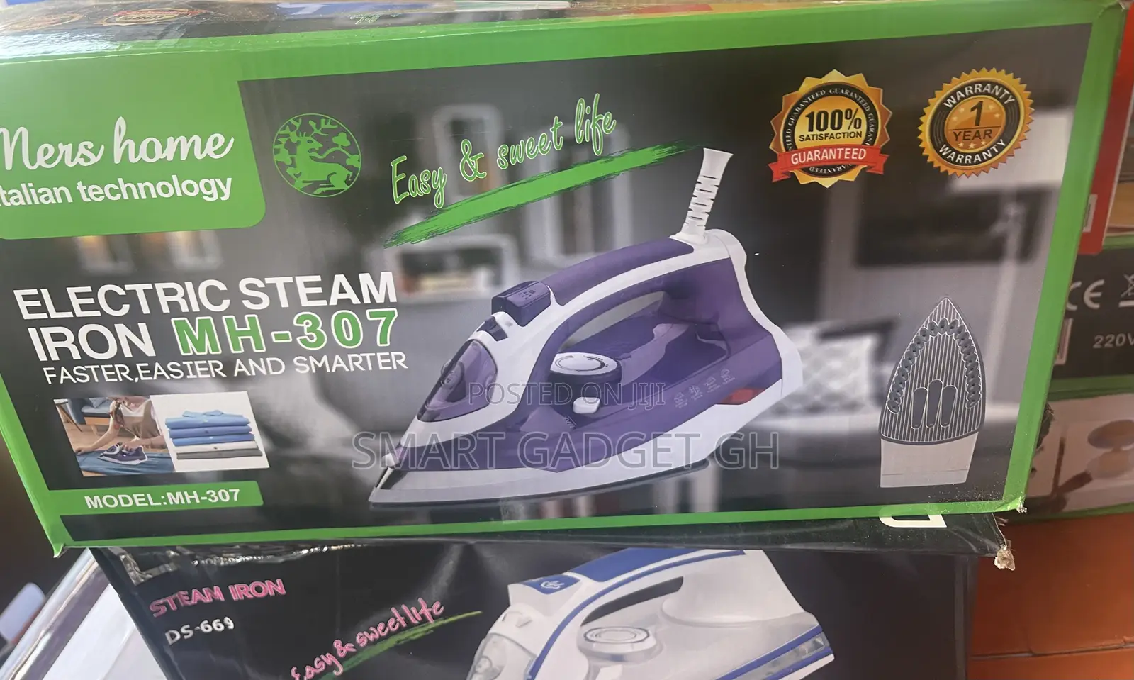 Electric Steam Iron
