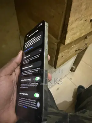 Apple iPhone 13 Pro Max 512 GB Gray
