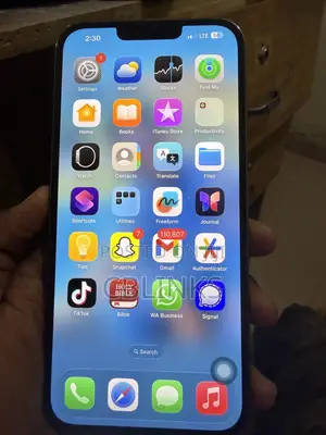 Apple iPhone 13 Pro Max 512 GB Gray