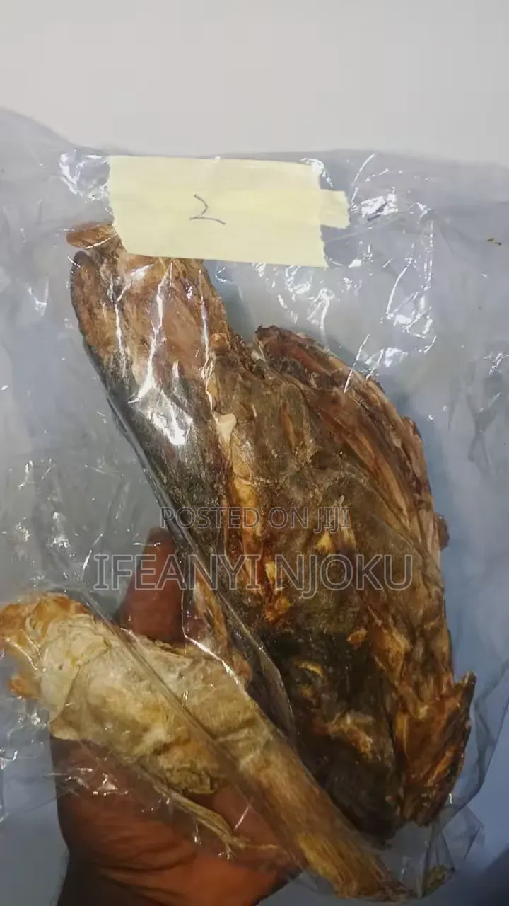 Stockfish Head and Ear for Sale