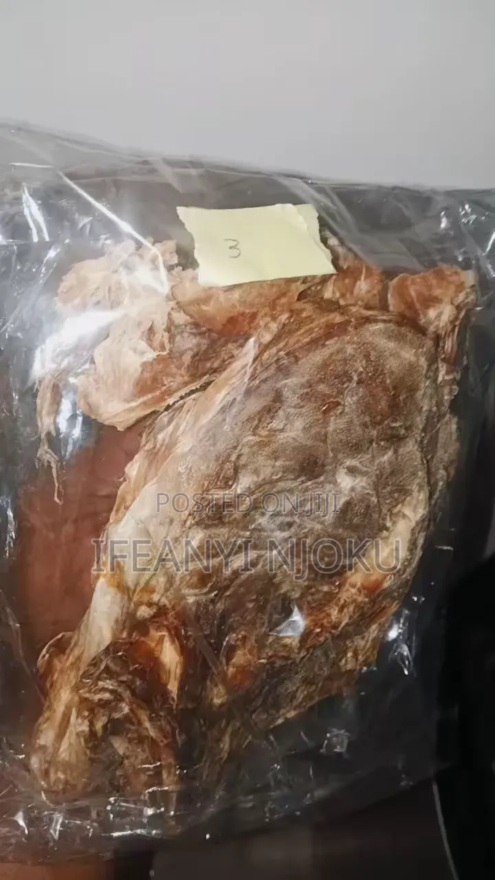 Stockfish Head and Ear for Sale