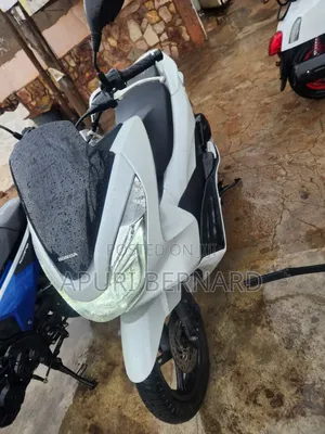 Honda 2023 White