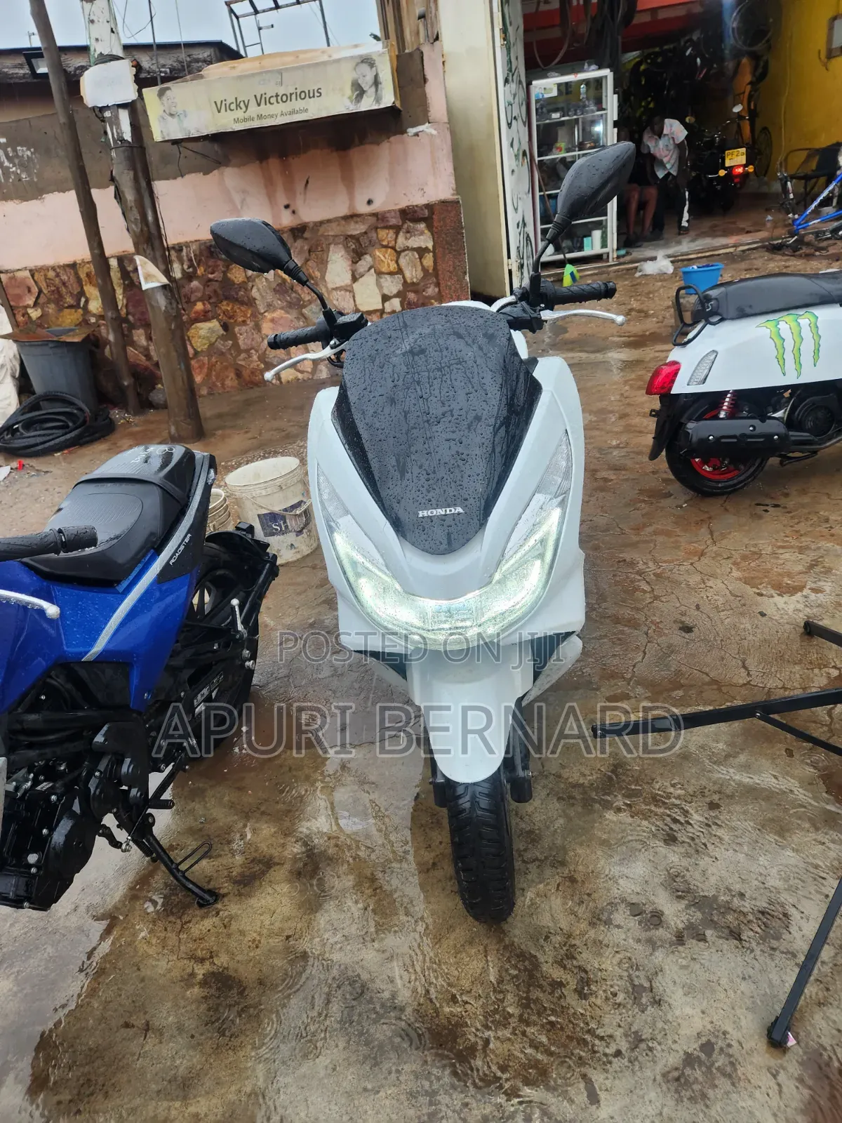 Honda 2023 White