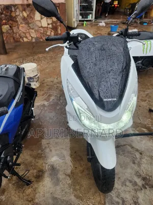 Honda 2023 White