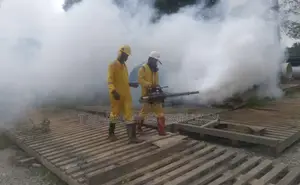 T Advance Pest Solution