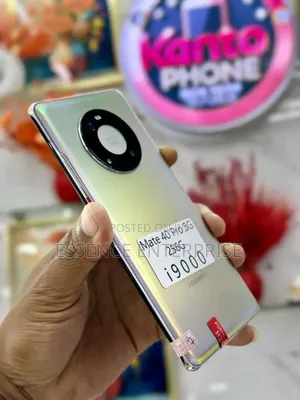 Huawei Mate 40 Pro 256 GB Gray