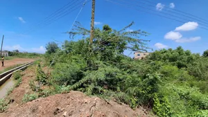 Titled 5 Plots of Land in a Gated Community Trasacco