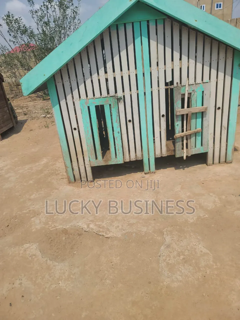 Used Dog Cage