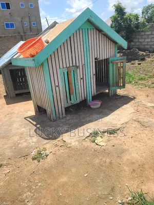 Used Dog Cage