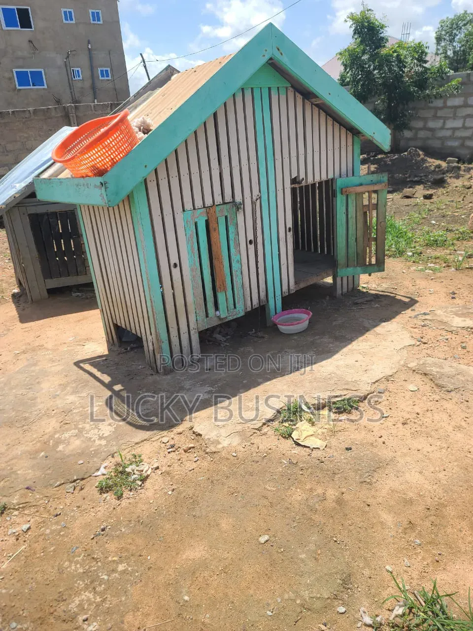 Used Dog Cage