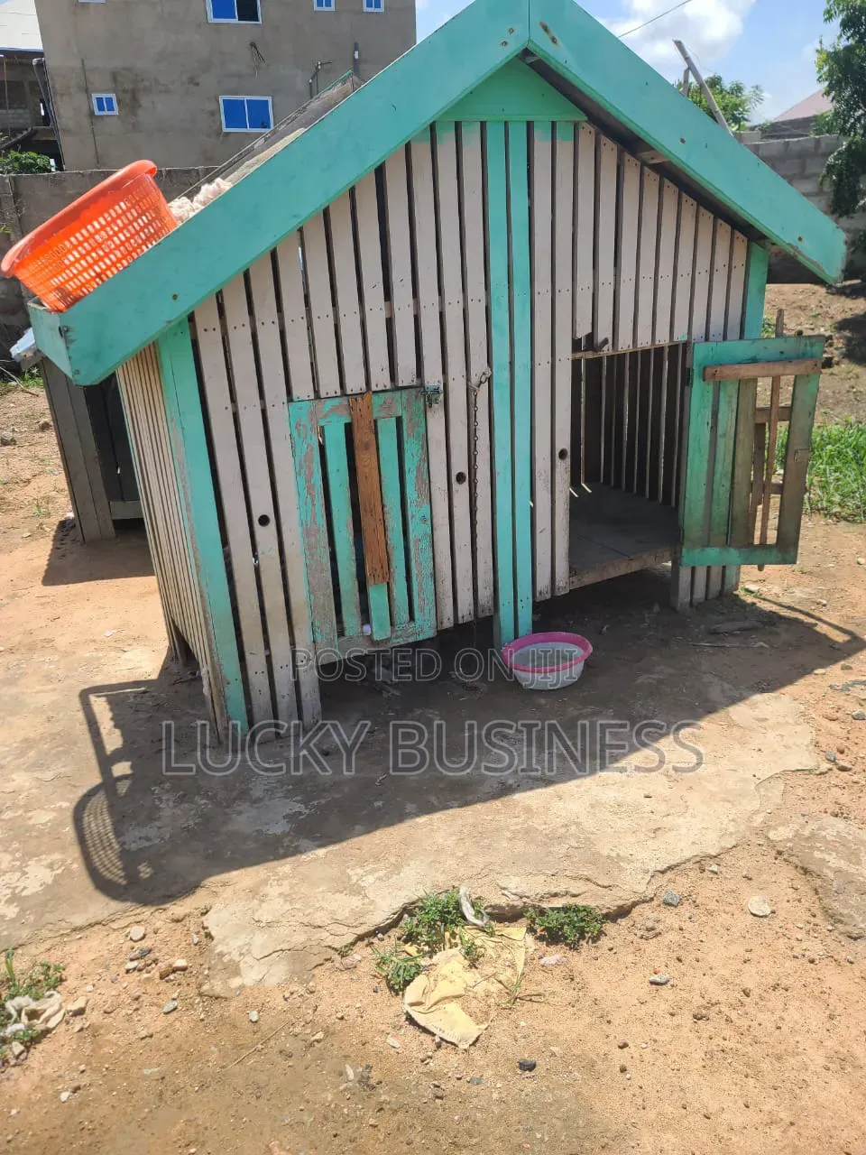Used Dog Cage