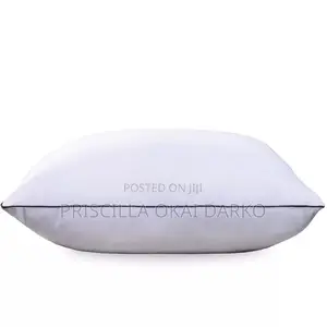 Soft and Premium Soft Pillow 2 PCS