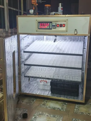 Egg Incubator