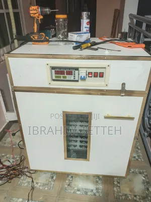 Egg Incubator
