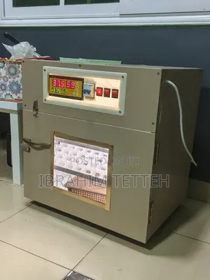 Egg Incubator