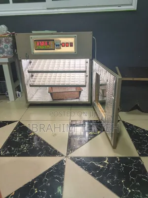 Egg Incubator