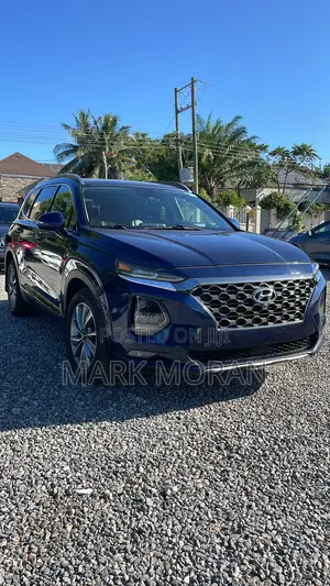 Hyundai Santa Fe 2020 Blue