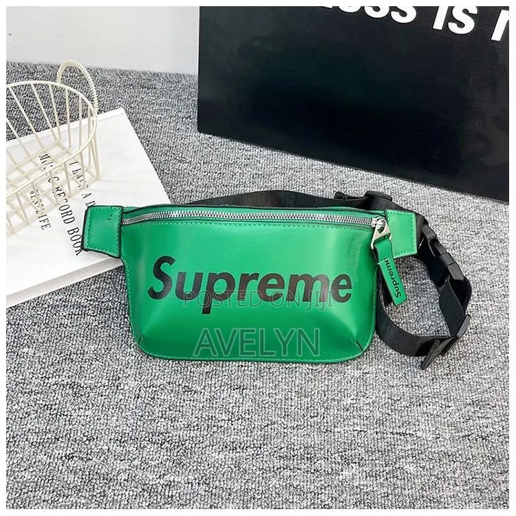 Mini Waist and Crossbody Bag