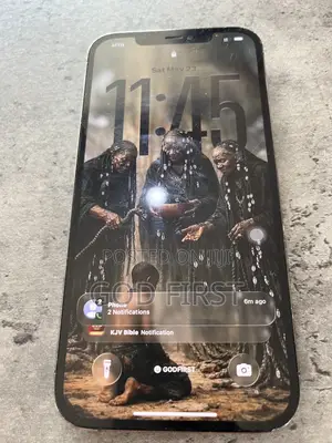 Apple iPhone 12 Pro Max 256 GB Blue