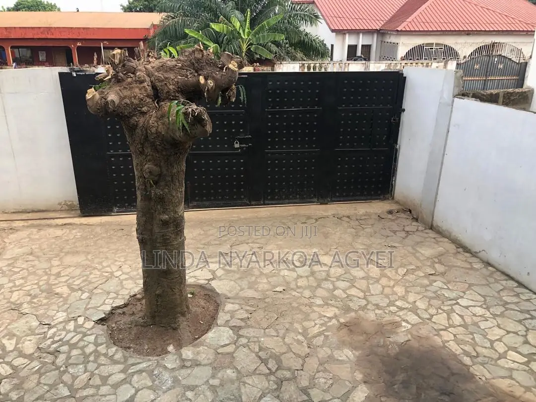 3bdrm House in Ofankor for rent