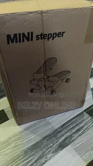 Mini Stepper Machine