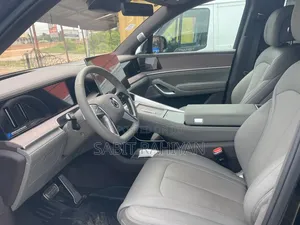 Denza N9 2.0 Hybrid AWD 2025 Black