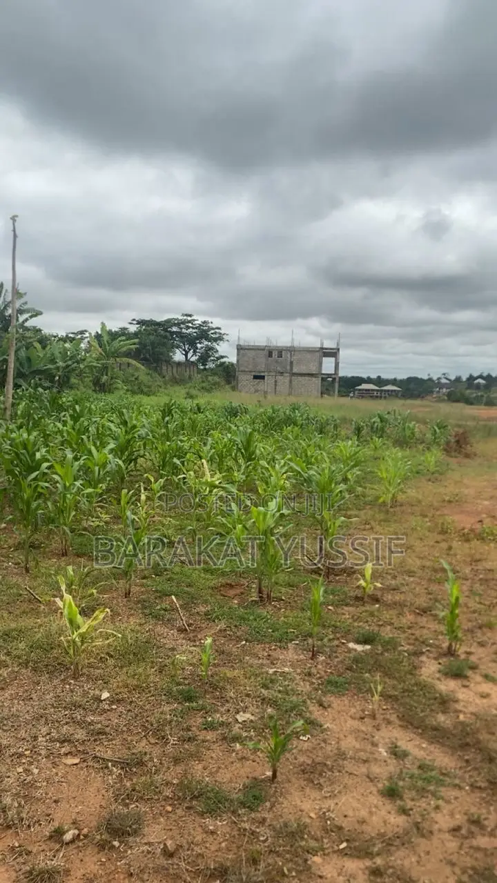 Prime 3.5-Acre Commercial Property for Sale at Ahenkro, Kumasi