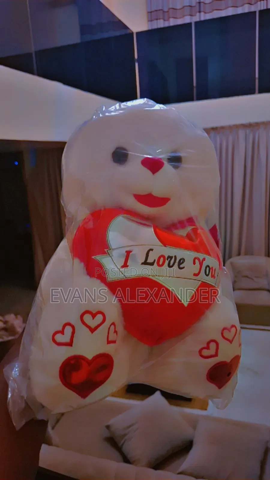 Teddy Bear