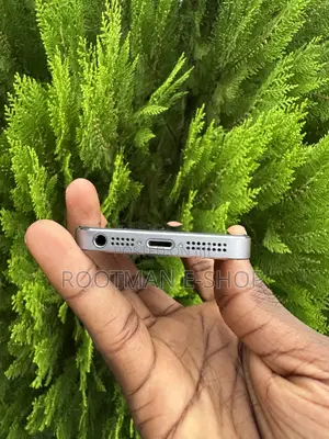 Apple iPhone 5s 16 GB Silver