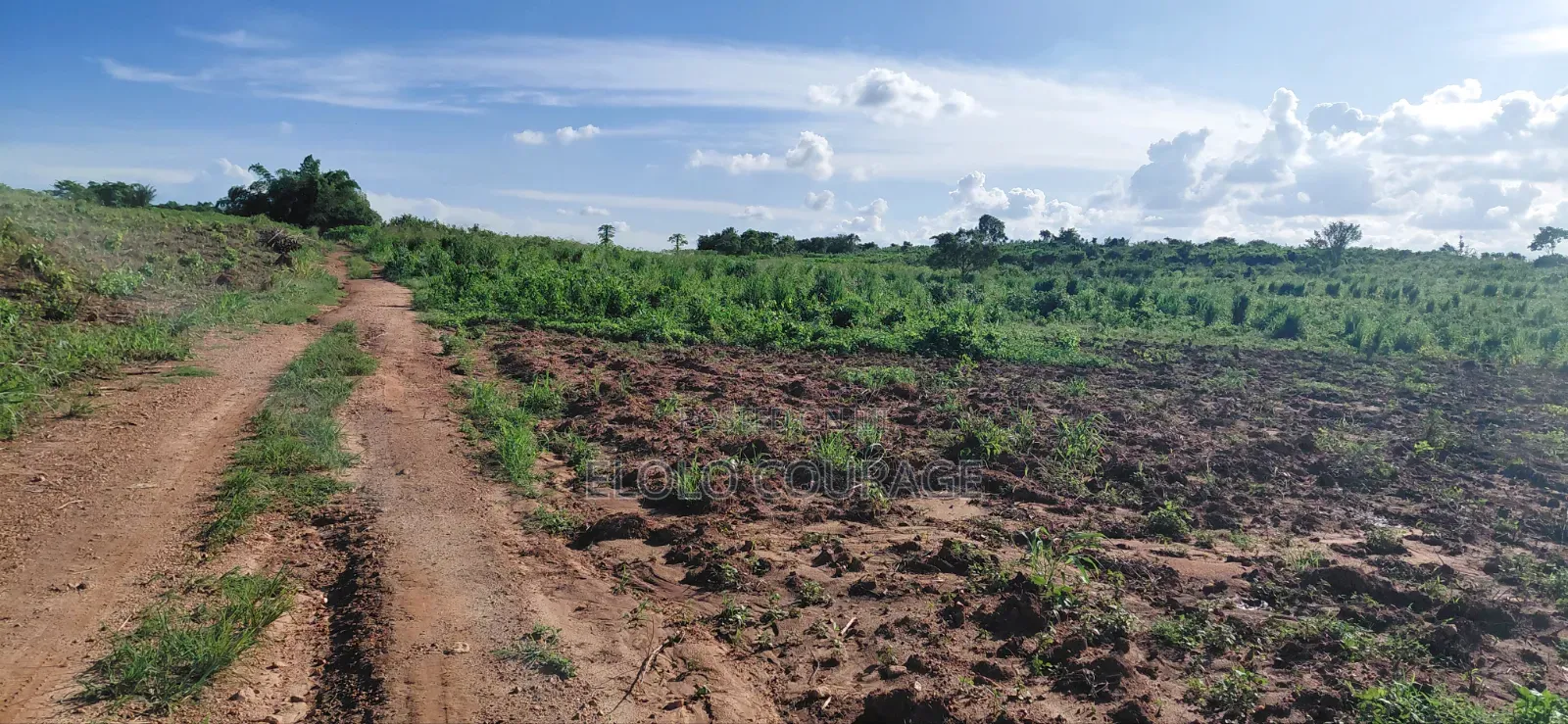 Farm Land Available at Gomoa Kwanyaku