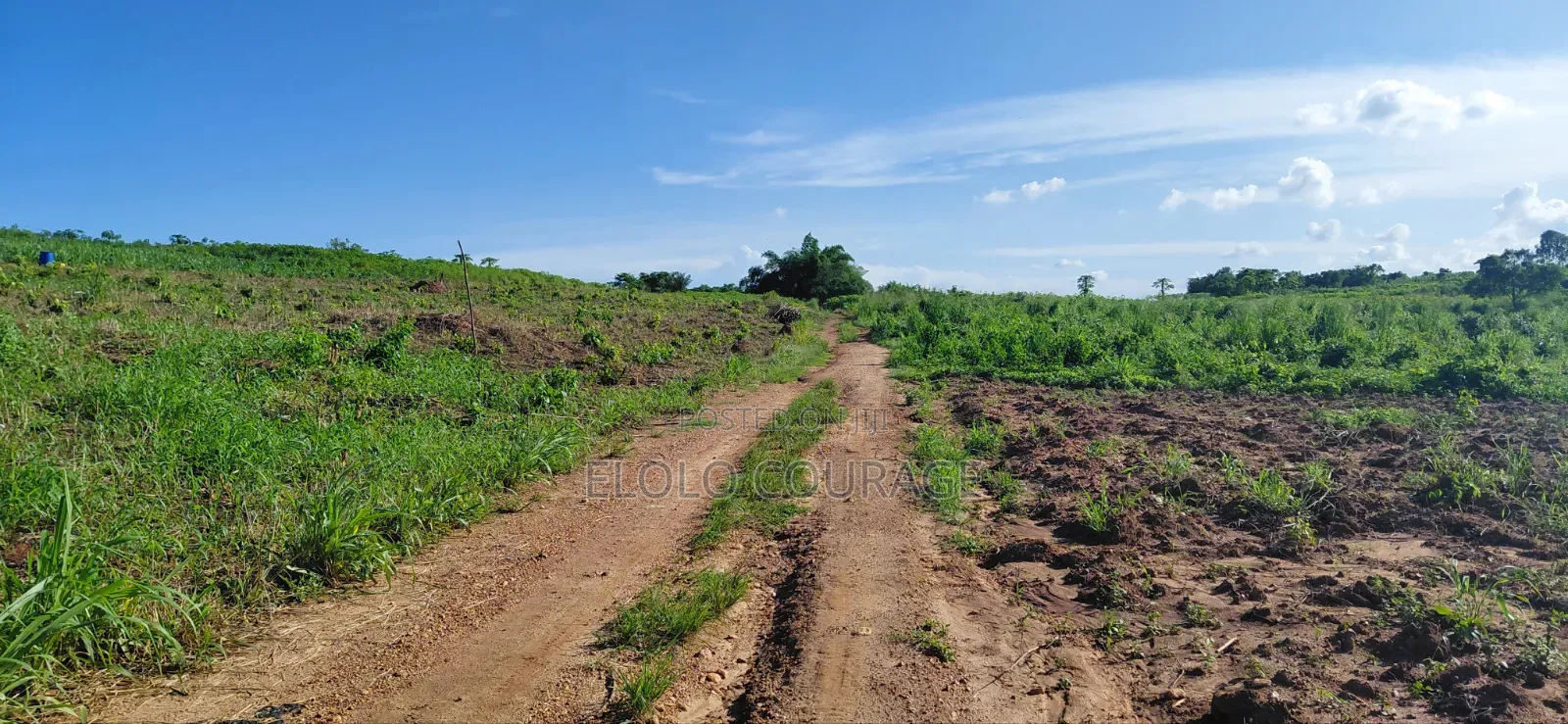 Farm Land Available at Gomoa Kwanyaku