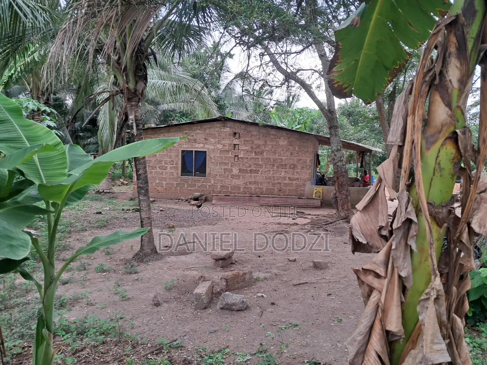 Poultry Farm for Rent