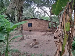 Poultry Farm for Rent
