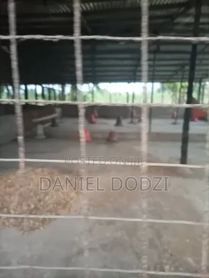 Poultry Farm for Rent
