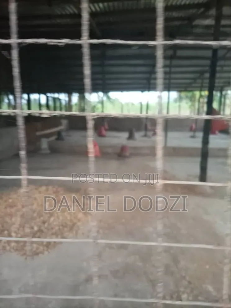 Poultry Farm for Rent