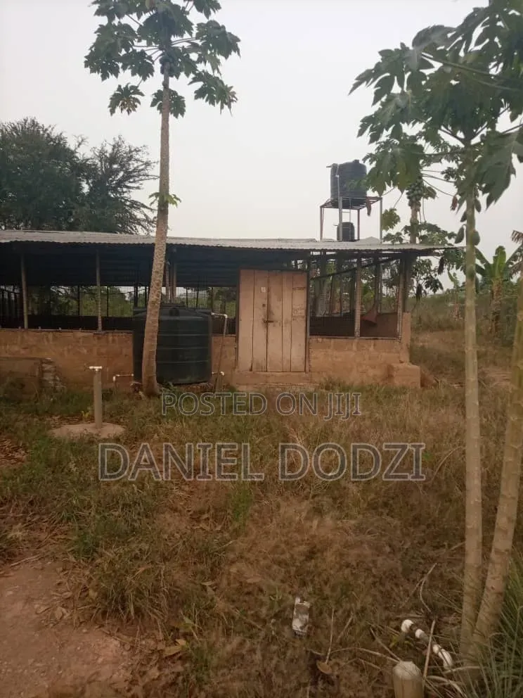 Poultry Farm for Rent