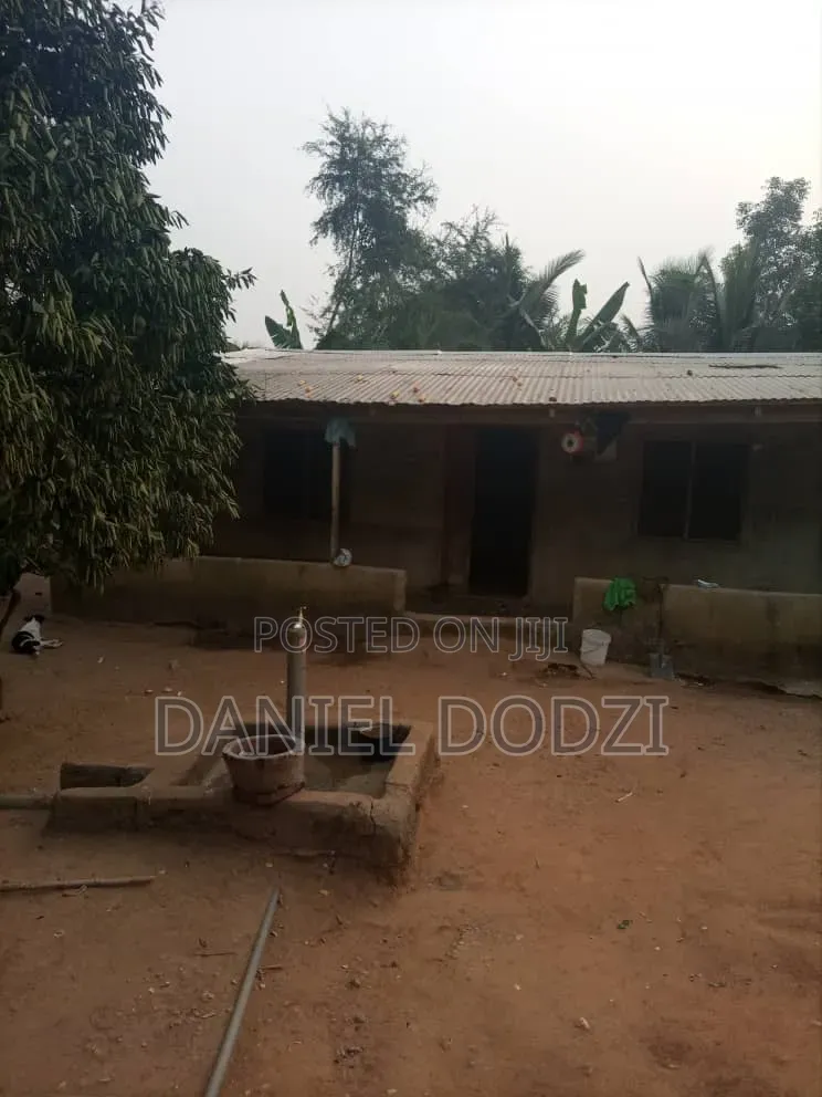 Poultry Farm for Rent