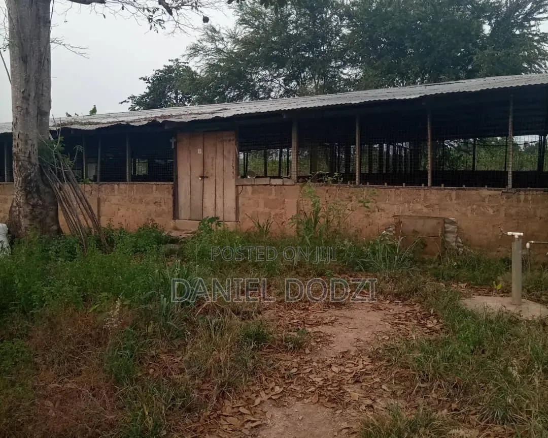 Poultry Farm for Rent