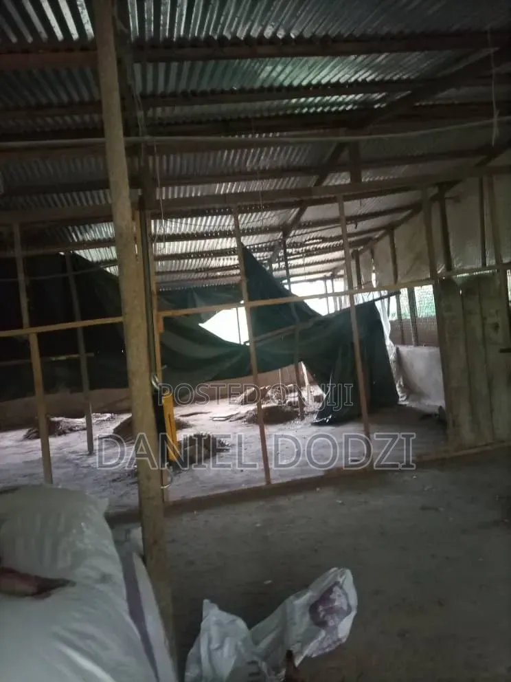 Poultry Farm for Rent