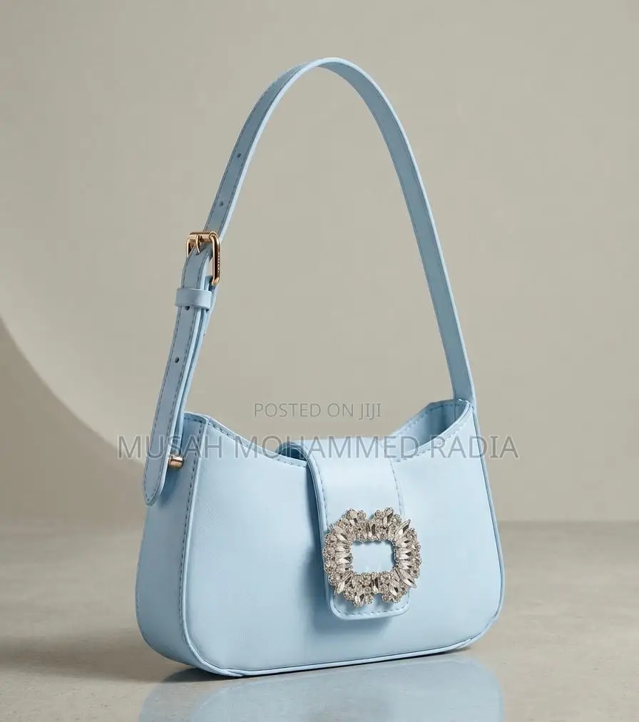 Ladies Luxury Bag
