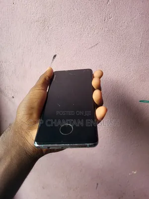 Samsung S10 Plus Display