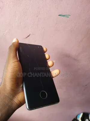 Samsung S10 Plus Display